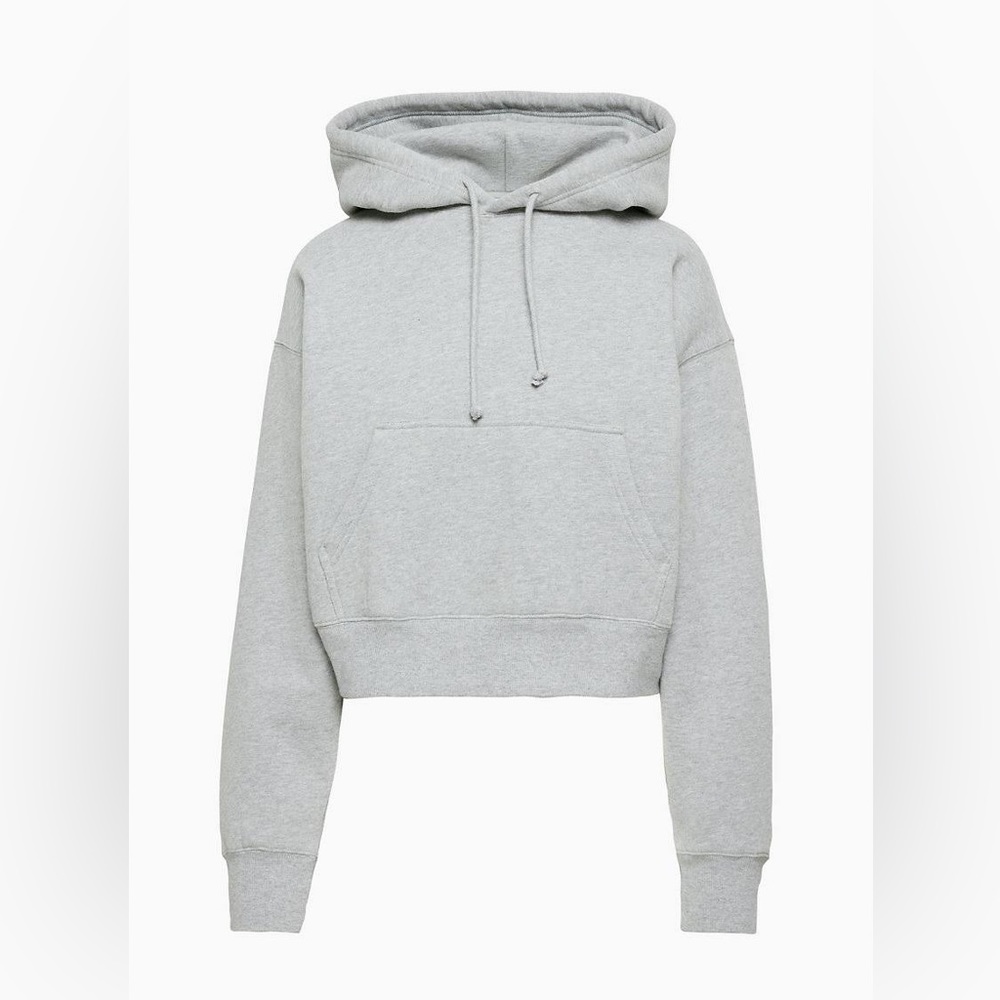 Aritzia TNA cozy boyfriend cropped hoodie